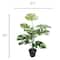 26" Premade Potted Monstera Plant by Ashland®
